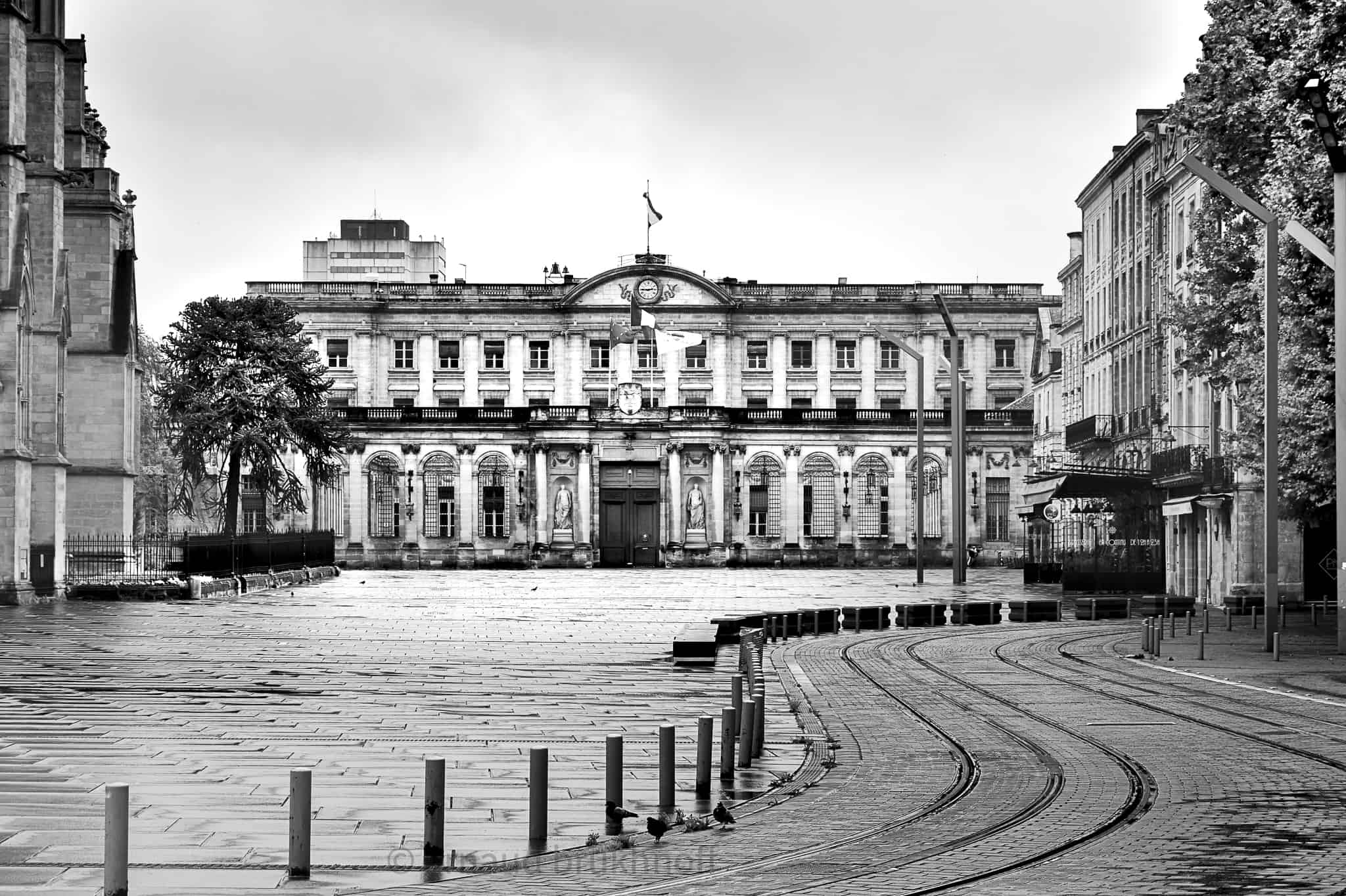 DSC_3625